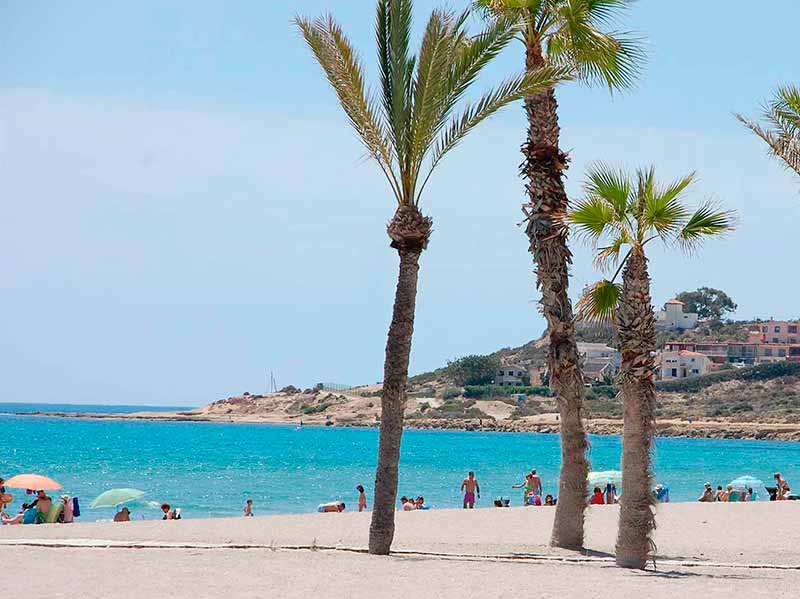 pension colon san juan alicante entorno natural portada2 - Pension en San Juan Alicante